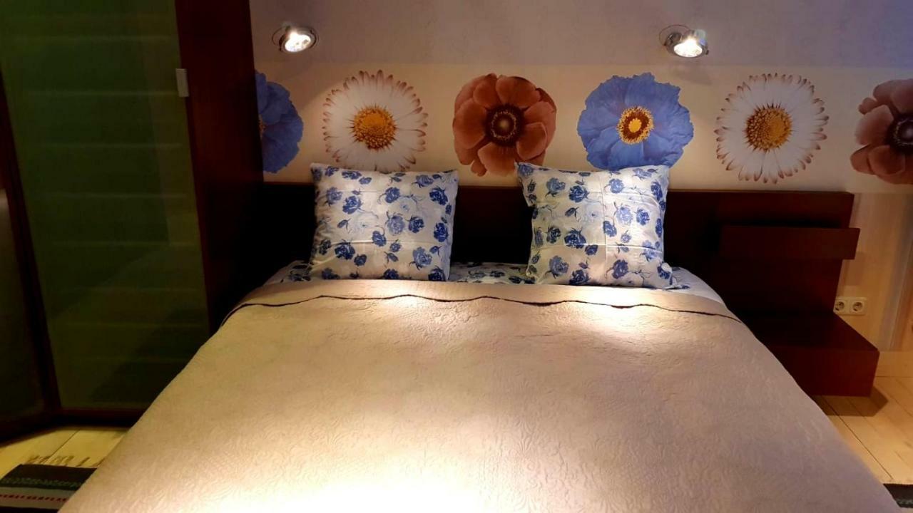 Apartmán Fuksija House Daugavpils Exteriér fotografie